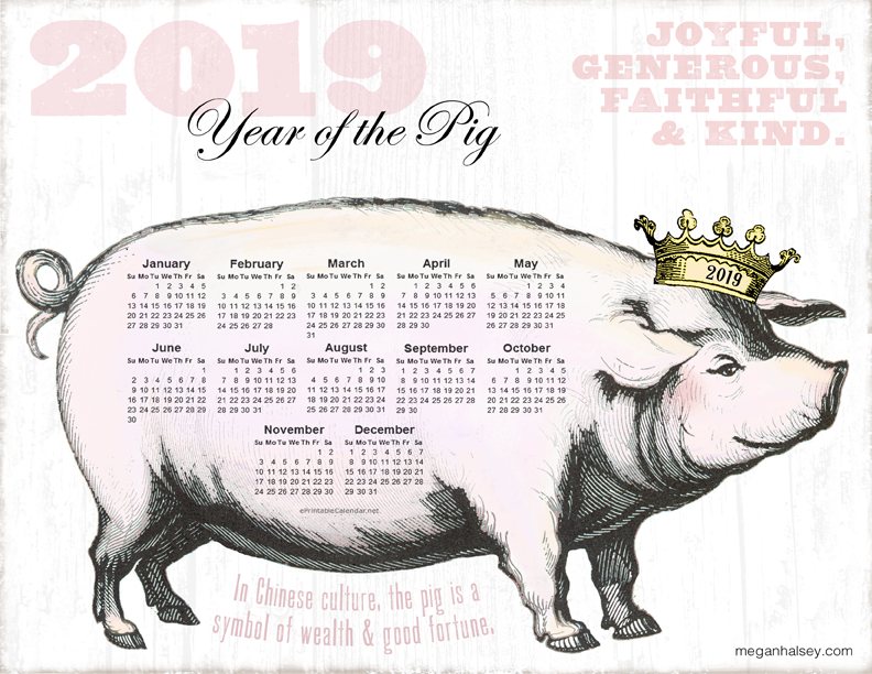 Year of the Pig